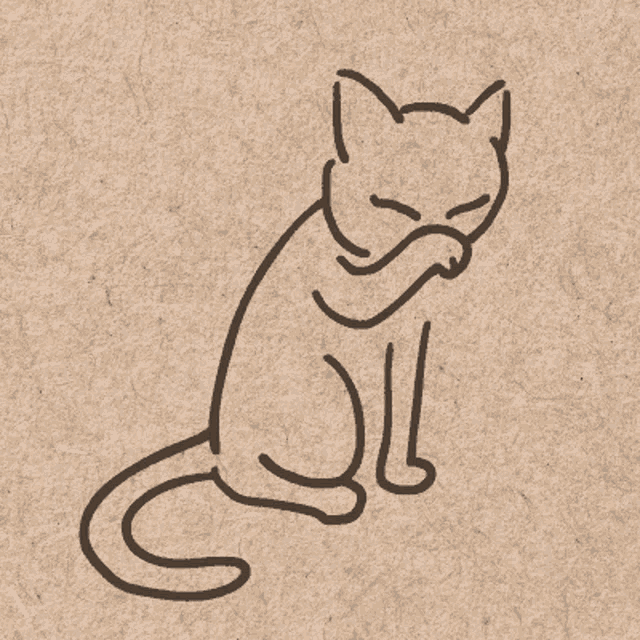 Gato Gato Se Limpia La Cara GIF - Gato Gato Se Limpia La Cara Chinguiñas GIFs