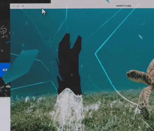 a computer screen shows a picture of a sea turtle and the url seatur12.jpg