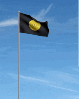 a black flag with a yellow target on it is flying in the wind