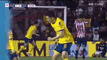 a group of soccer players are celebrating a goal on a field .