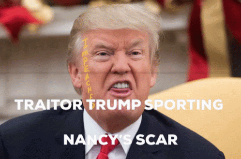 Traitor Trump Trumps Scar GIF - Traitor Trump Trumps Scar Nancys Scar GIFs