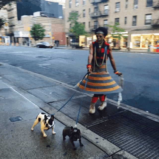 a man in a striped skirt is walking two dogs