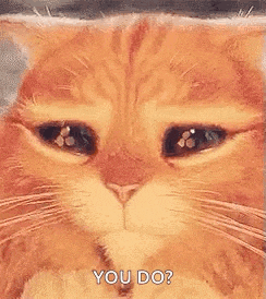 a close up of a cat 's face with its eyes closed and the words `` you do '' written on it .