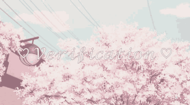 a picture of a cherry blossom tree with the words " verification " in white letters