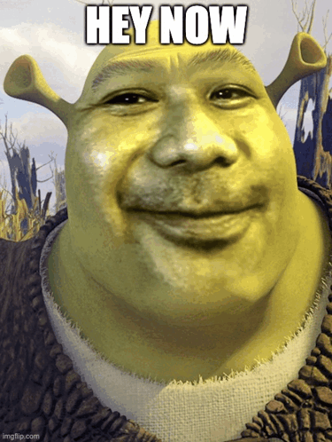 Shrek Shrek Meme GIF - Shrek Shrek Meme Disney GIFs