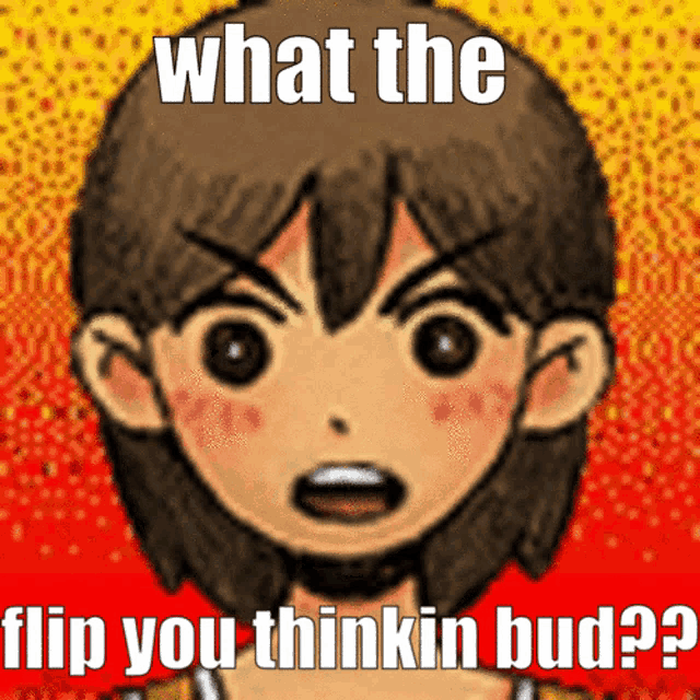 a picture of a cartoon character with the caption what the flip you thinkin bud ?