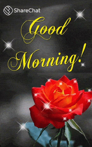 Good Morning Morning GIF - Good Morning Morning Rose GIFs