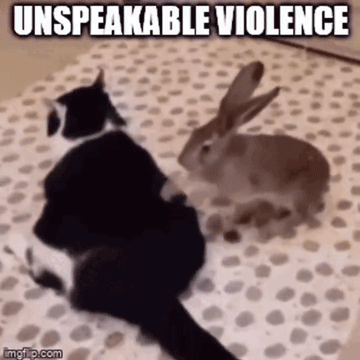 Violence Bun GIF - Violence Bun Bunny GIFs