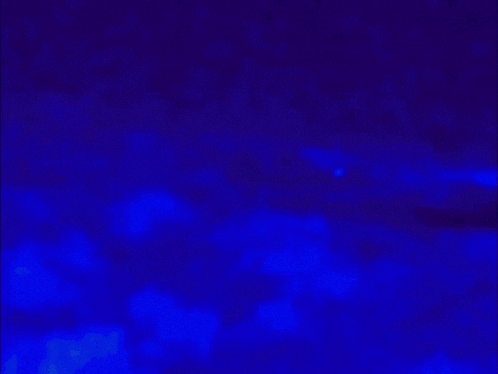 a dark blue background with a few spots of light