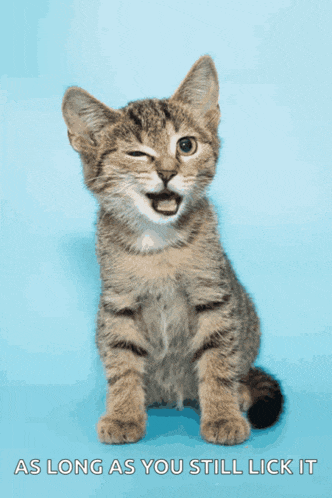 a kitten is sitting on a blue background with the words as long as you still lick it below it