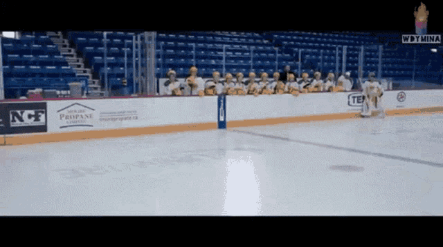 a hockey rink with an advertisement for propane on the side