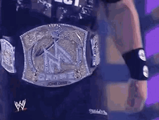 a wrestler is wearing a wrestling championship belt and a wristband .