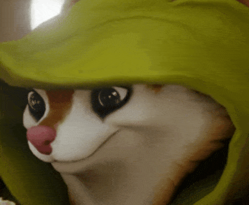 a close up of a cat wearing a green jacket