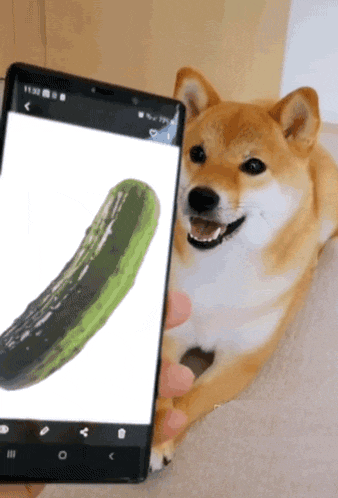 a person holding a cell phone with a picture of a cucumber on the screen