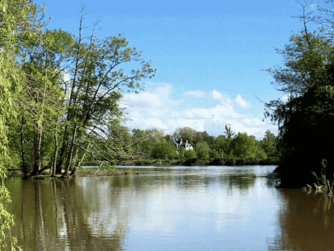 a lake with trees on the shore and a house in the background
