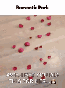 a picture of roses falling on the ground with the caption romantic park awe i bet you did this for her