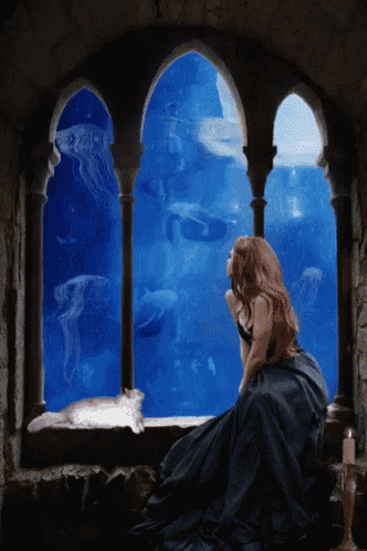 Girl Cat GIF