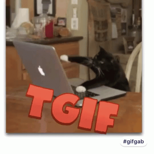 Tgif Cat GIF - Tgif Cat GIFs