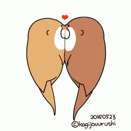 Otter Love GIF - Otter Love Kisses GIFs