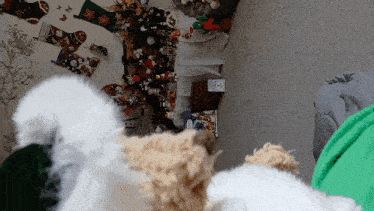 a stuffed animal is laying on the floor in front of a christmas tree and stockings