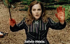 Salvio Hexia GIF - Salvio Hexia Hermione GIFs