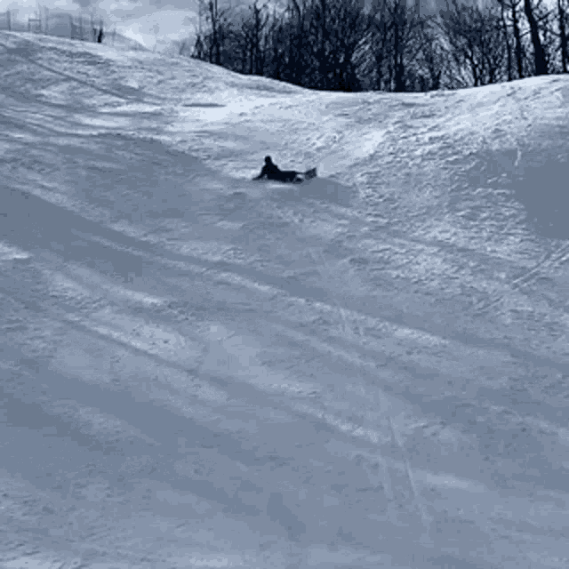 Snowboarding Fail GIF - Snowboarding Fail Slip GIFs
