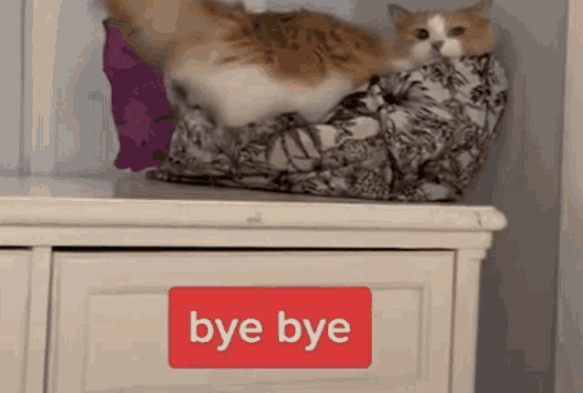 a cat is laying on top of a dresser with a bye bye sign on it