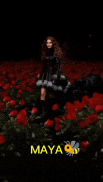 Mayagif GIF