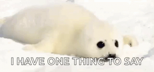 Seal I Have One Thing To Say GIF - Seal I Have One Thing To Say Crawl GIFs
