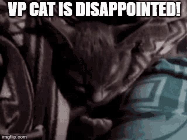 Disappointment GIF - Disappointment GIFs