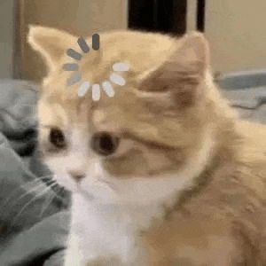 a close up of a cat 's face with a loading bar on its head .