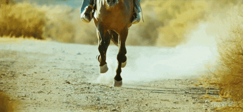 a person riding a horse on a dirt road with a watermark that says ' eternity ' on the bottom