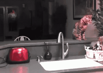 a kitchen counter with a red toaster a sink and a faucet