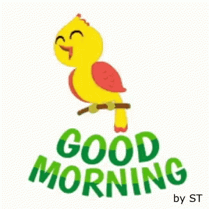 Good Morning David GIF - Good Morning David Selcan GIFs