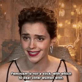 Emma Watson Feminism GIF - Emma Watson Feminism Not A Stick GIFs
