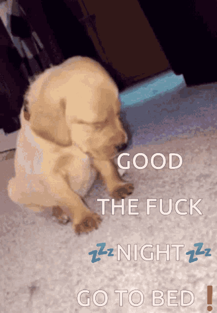 a puppy is sleeping on a carpet with the words good the fuck zzznight zzz go to bed