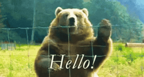 Waving Bear GIF - Waving Bear Hello GIFs