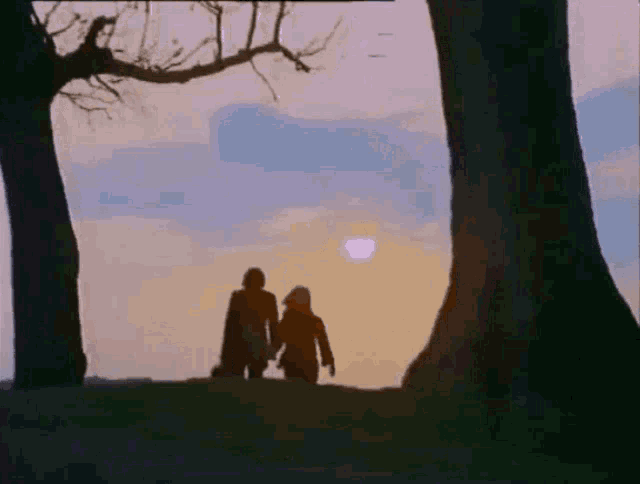 a man and a woman are standing under a tree at sunset .