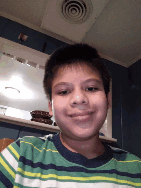 a boy wearing a green and blue striped shirt smiles for the camera