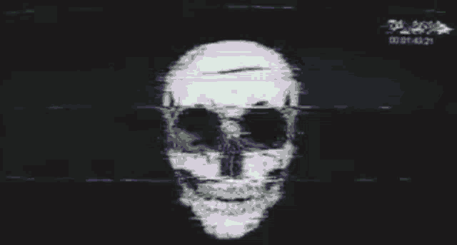 a skull with a beard is on a purple background in a video game .
