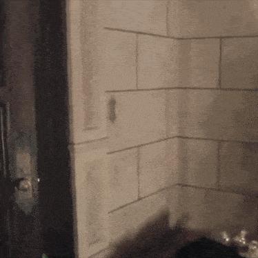 a corner of a bathroom with a door and a shadow on the wall