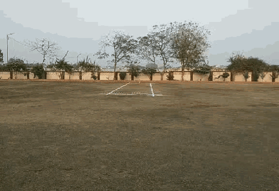 Cricket Ground GIF - Cricket Ground GIFs