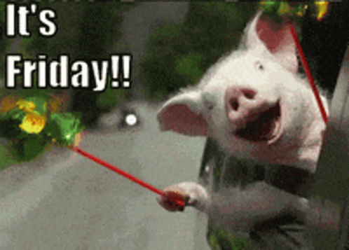 Itsfriday GIF - Itsfriday GIFs