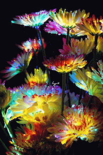 Nasserq Sabah GIF - Nasserq Sabah Flowers GIFs