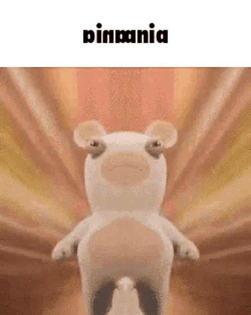 a stuffed animal is standing in front of a curtain with the word binmania above it .