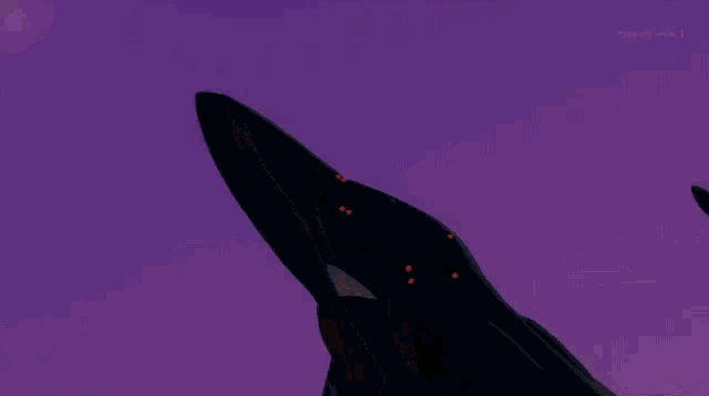 a purple background with the word tokyo on the bottom right