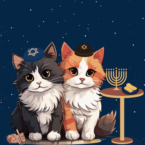 a hanukkah greeting card with two cats wearing hats with a star on them