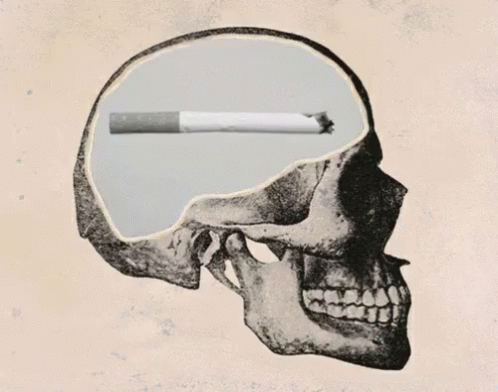 Skull GIF - Skullemoji Hipster Mind GIFs