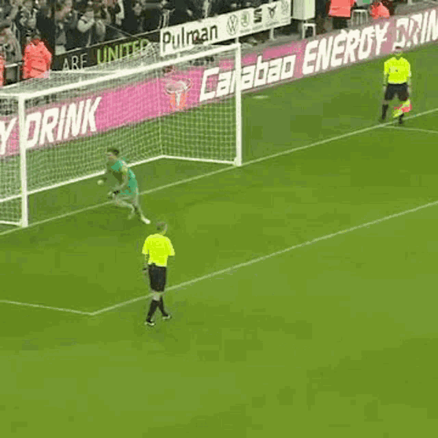 Nufc Pope GIF - Nufc Pope Nickpope GIFs