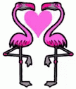 Flamingo Heart GIF - Flamingo Heart Love GIFs